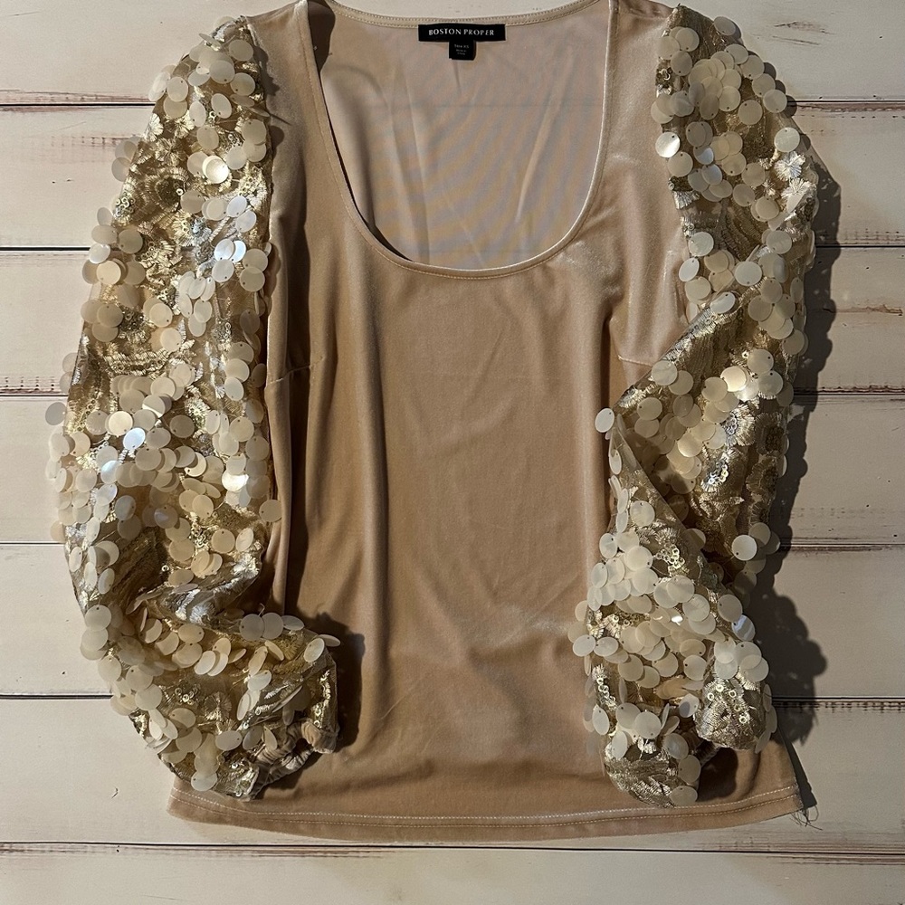 Boston Proper Tan Sequin Embellished Blouse